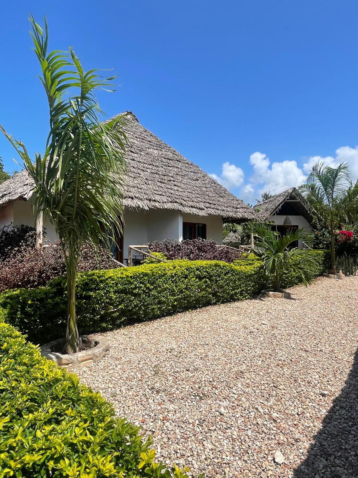 Kokopelli Bungalows Nungwi Kültér fotó