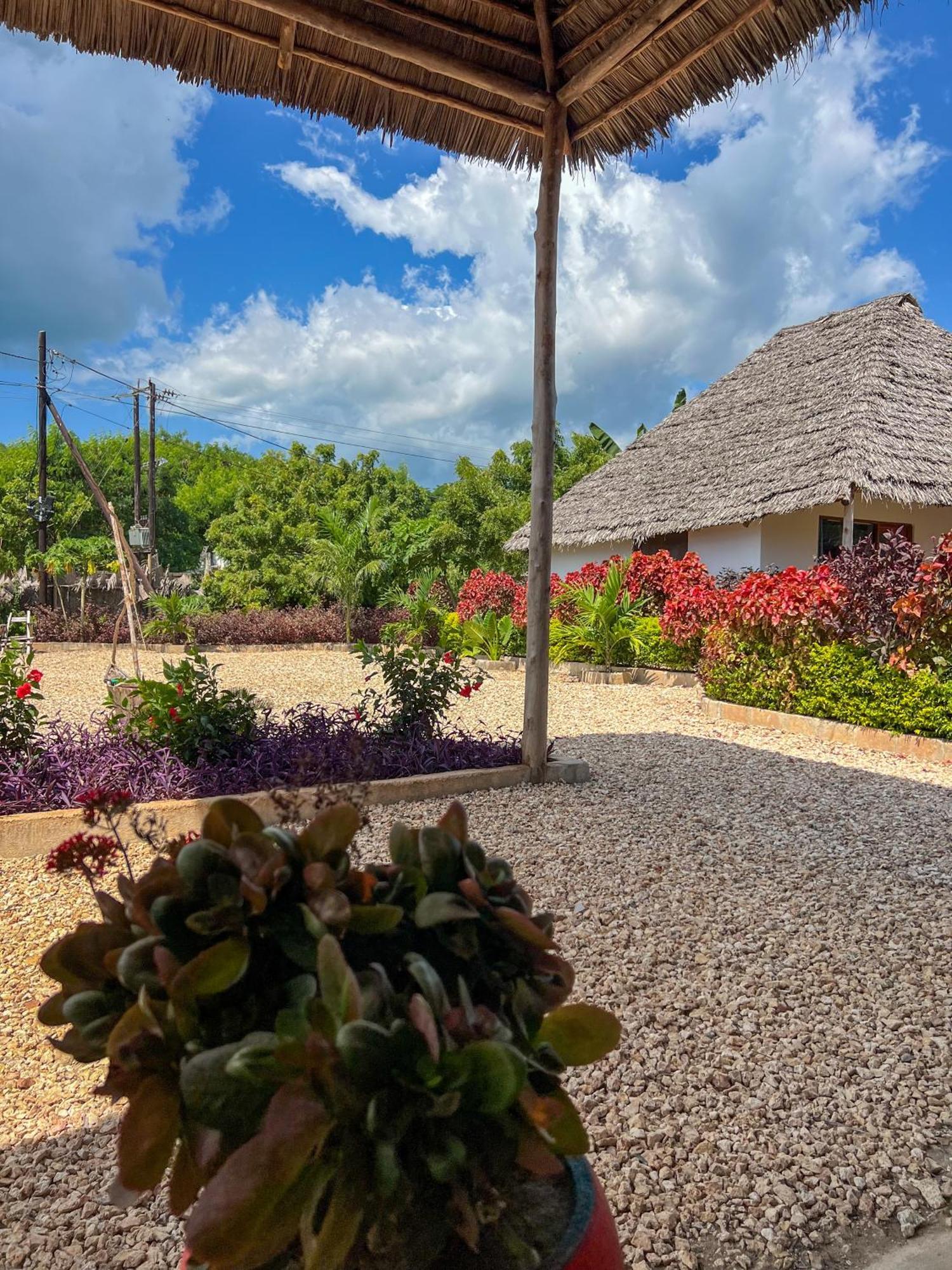 Kokopelli Bungalows Nungwi Kültér fotó